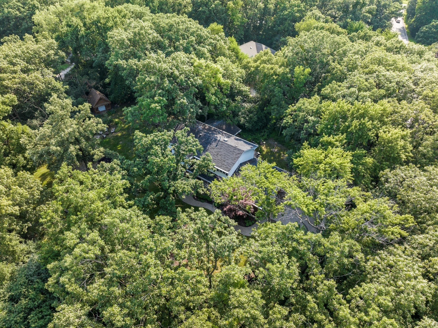 3 Old Creek Road Palos Park, IL 60464 - Photo 3 of 34