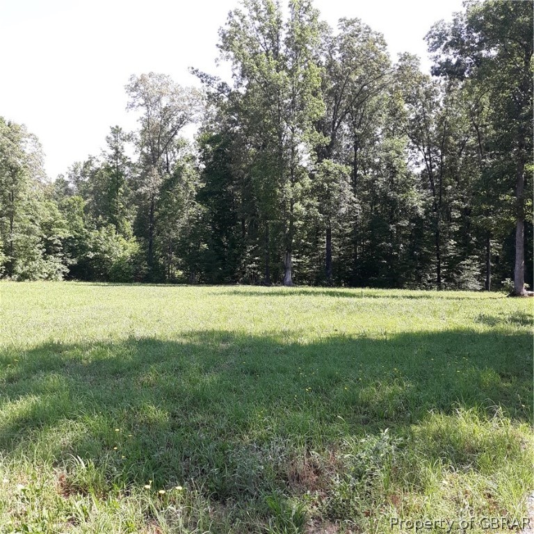 0 Deer Park Road Champlain, VA 22438 - Photo 4 of 9