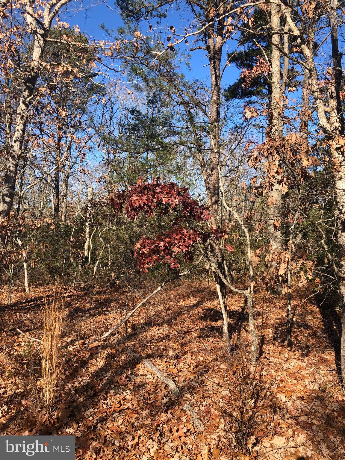 261 Factory Road Cedarville, NJ 08311 - Photo 5 of 5 Gallery Image 5