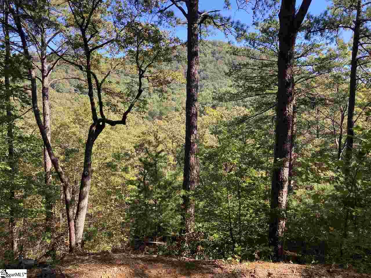 19 Foggy Ridge Way Travelers Rest, SC 29690 - Photo 2 of 7