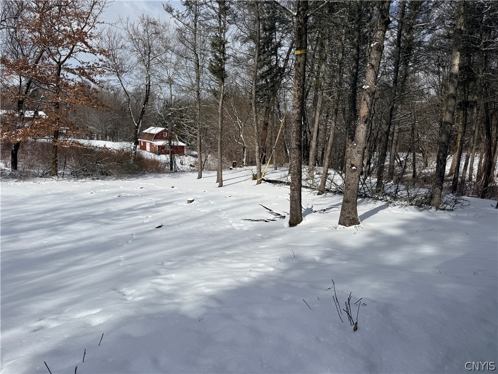 211 Sweetland Road Virgil, NY 13045 - Photo 26 of 33