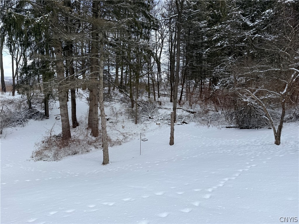 211 Sweetland Road Virgil, NY 13045 - Photo 27 of 33