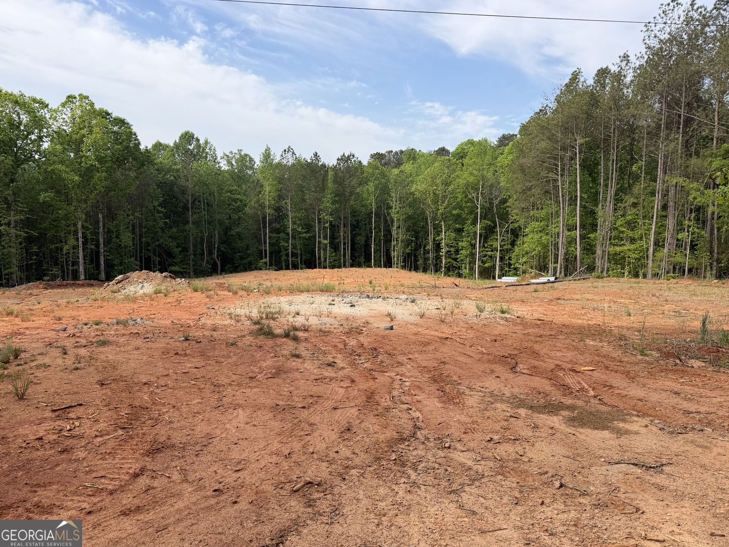 1518 English Road Forsyth, GA 31029 - Photo 3 of 4