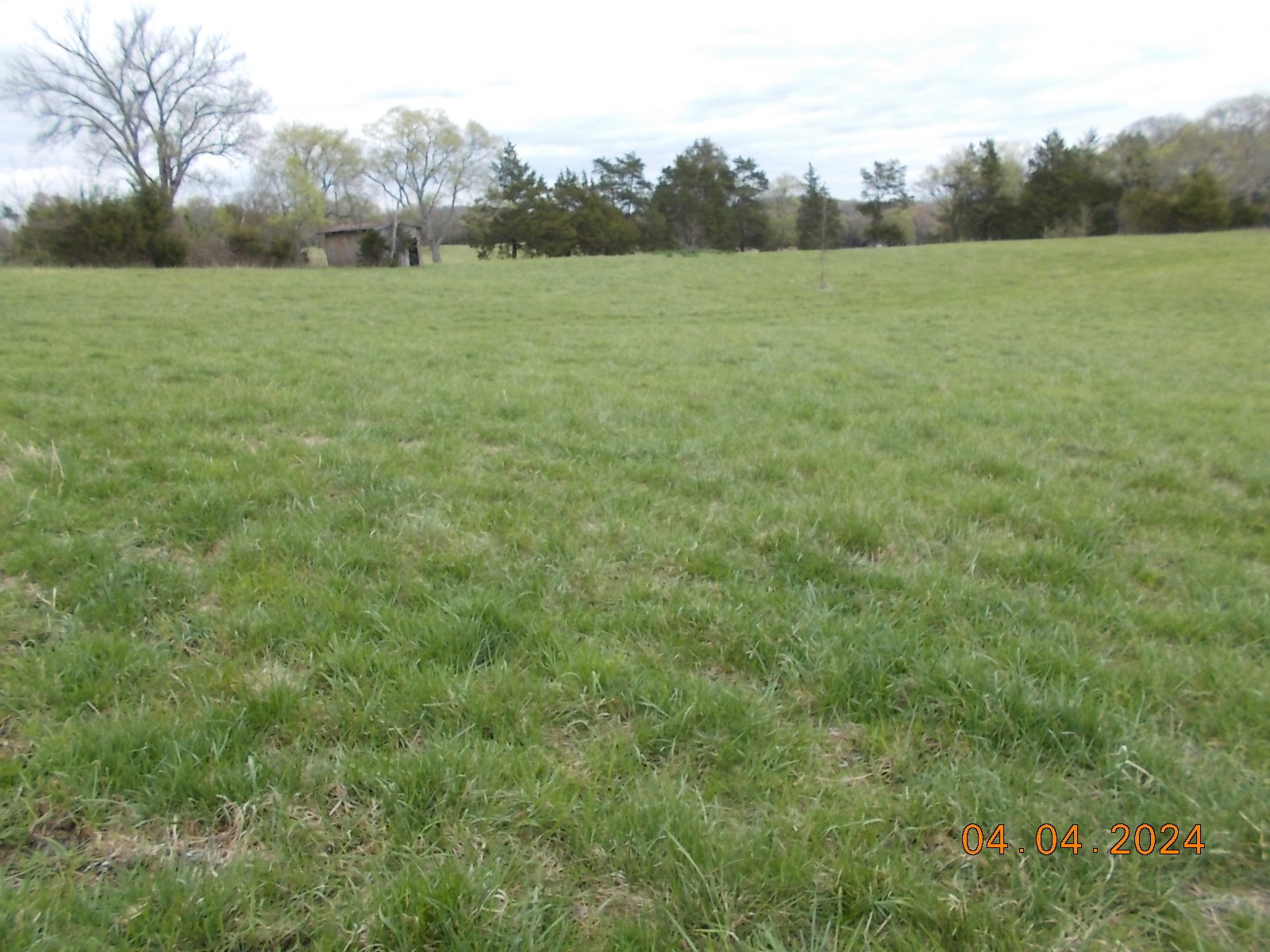 887 Borum Road Watertown, TN 37184 - Photo 11 of 61 Gallery Image 11