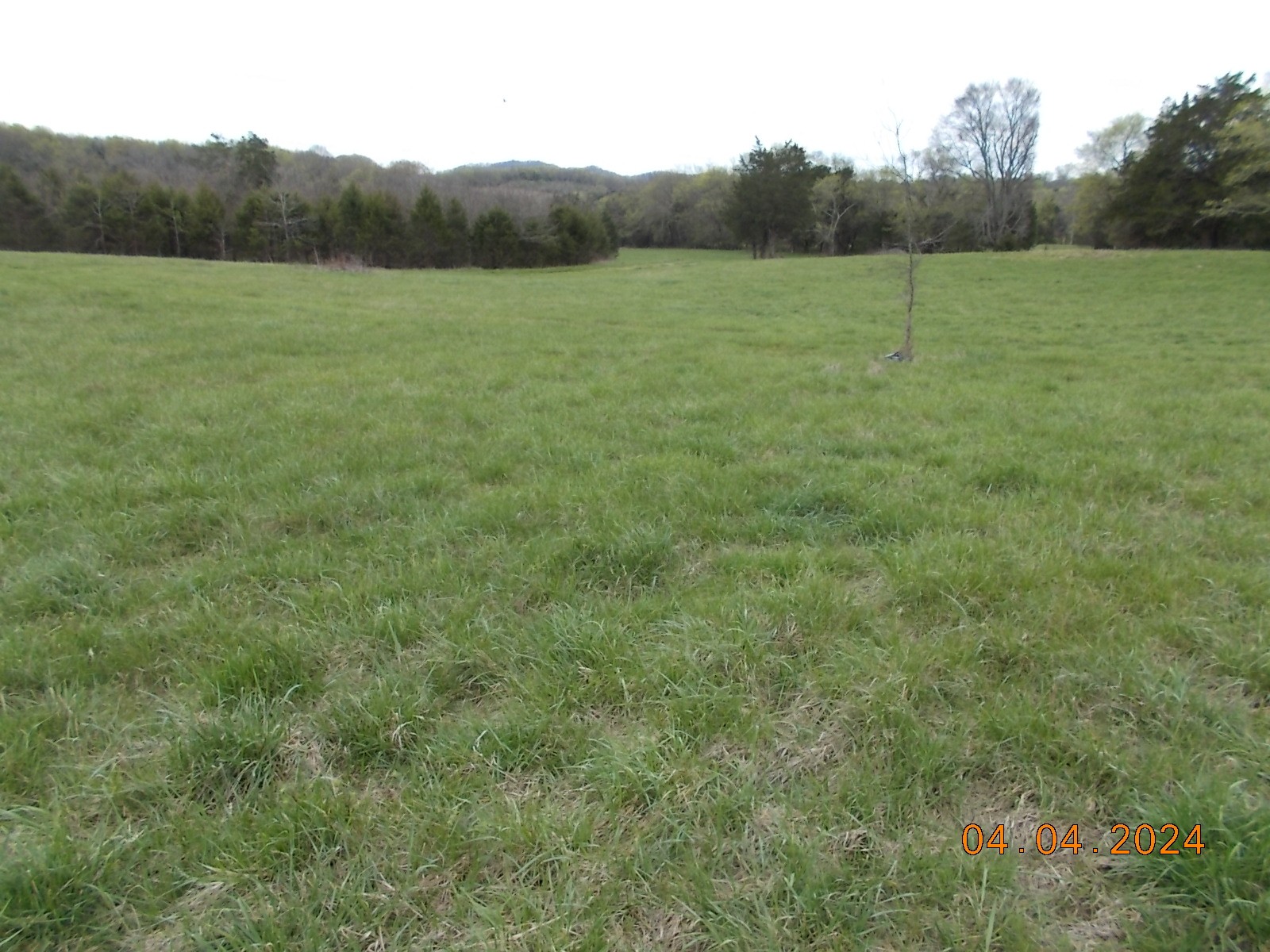 887 Borum Road Watertown, TN 37184 - Photo 15 of 61 Gallery Image 15