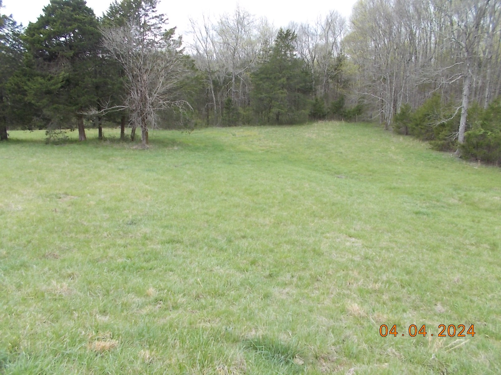 887 Borum Road Watertown, TN 37184 - Photo 21 of 61 Gallery Image 21