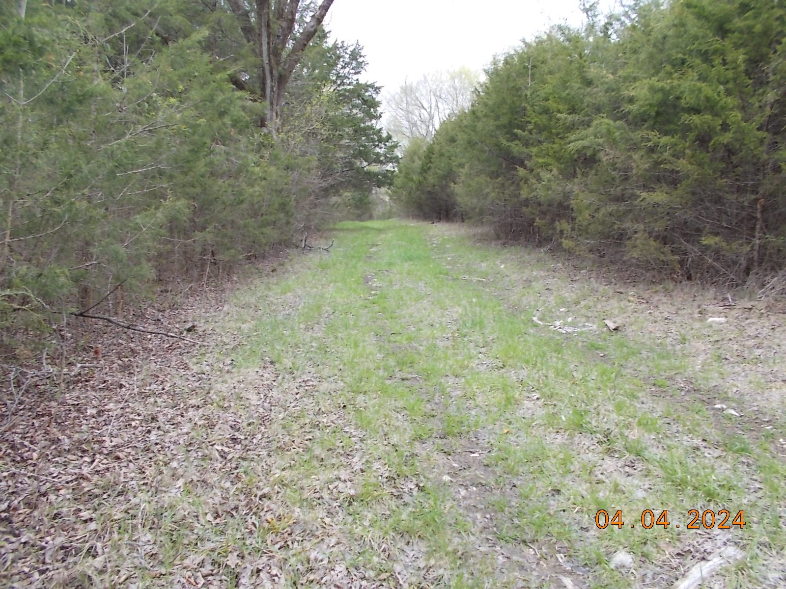 887 Borum Road Watertown, TN 37184 - Photo 23 of 61 Gallery Image 23