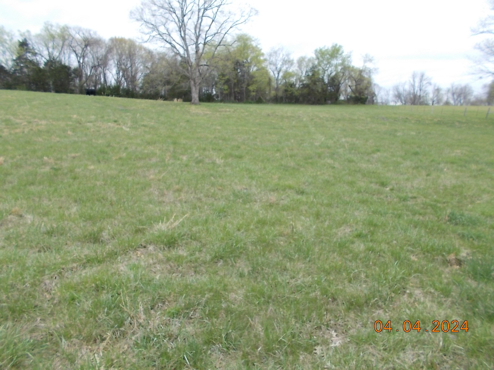 887 Borum Road Watertown, TN 37184 - Photo 24 of 61 Gallery Image 24