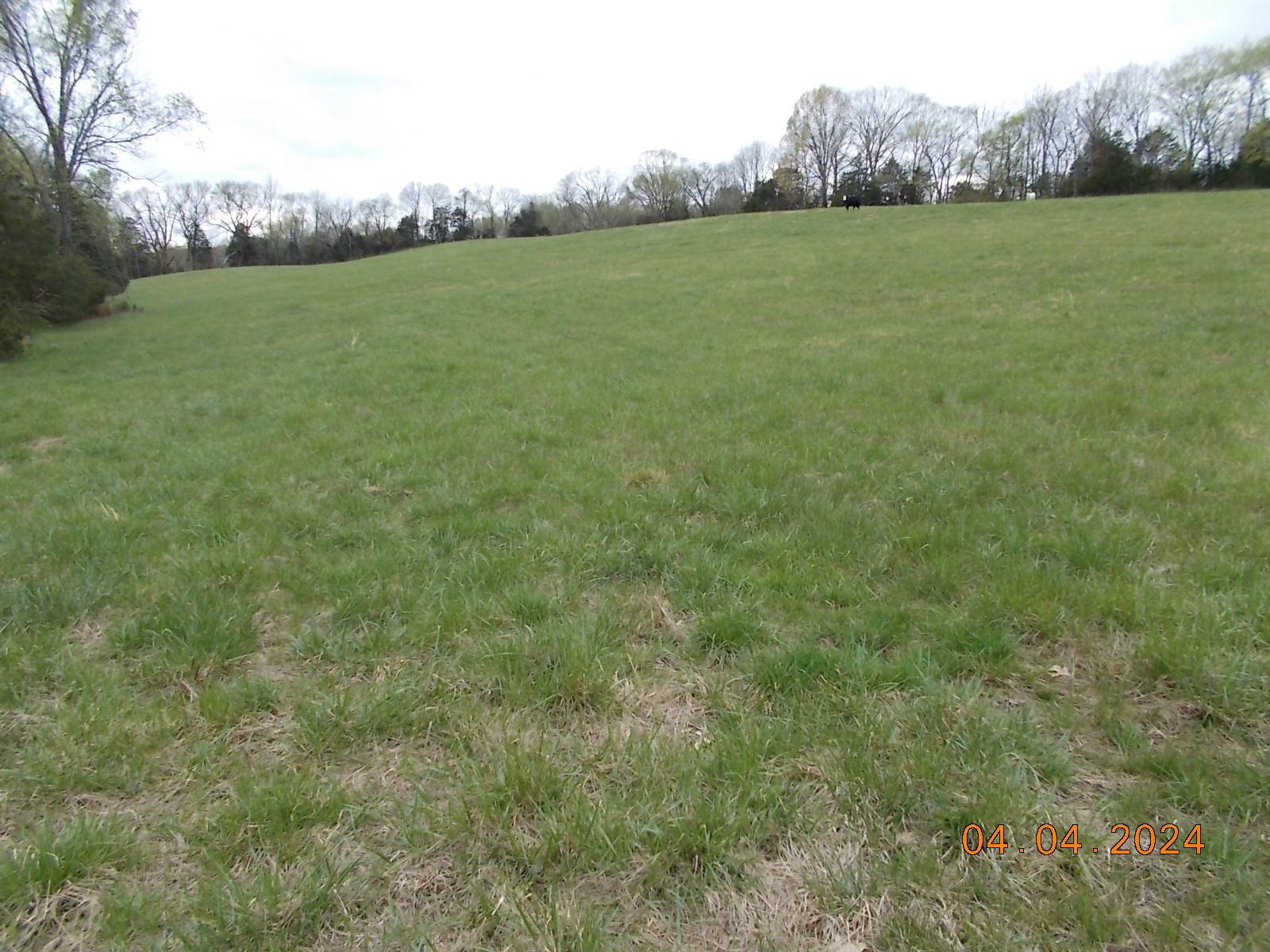 887 Borum Road Watertown, TN 37184 - Photo 25 of 61 Gallery Image 25