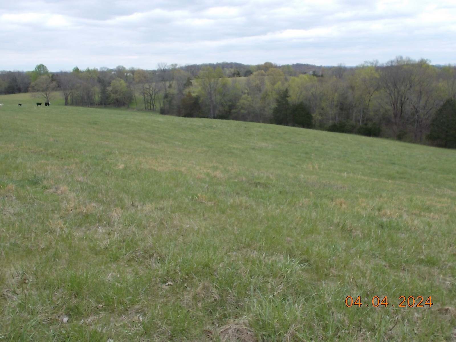 887 Borum Road Watertown, TN 37184 - Photo 27 of 61 Gallery Image 27