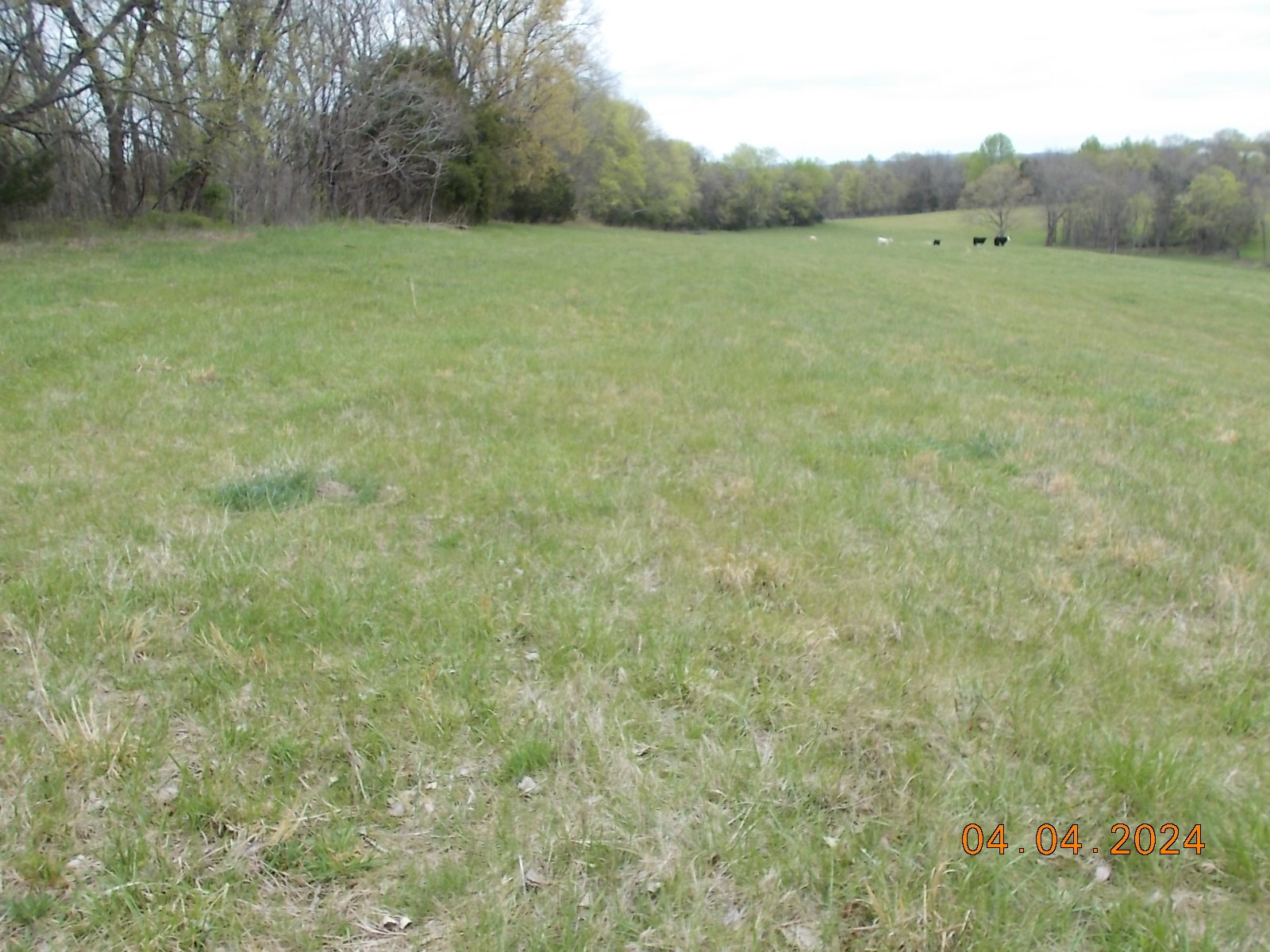 887 Borum Road Watertown, TN 37184 - Photo 28 of 61 Gallery Image 28