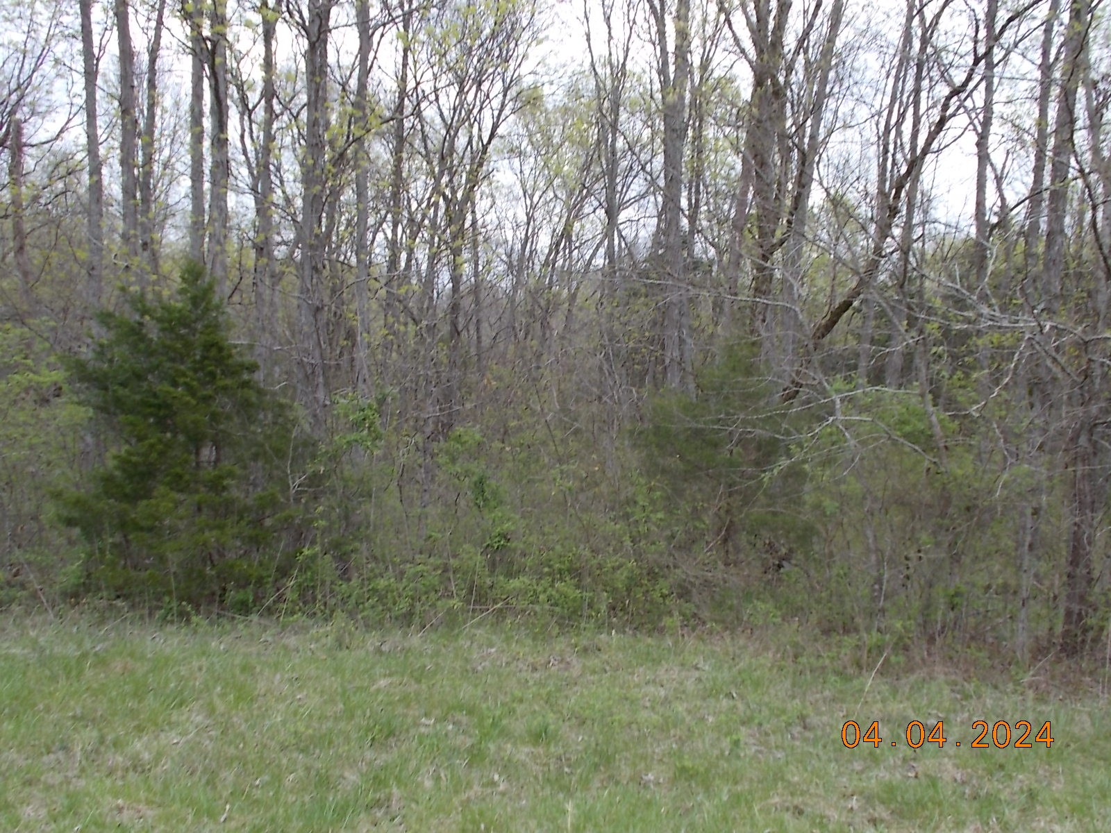 887 Borum Road Watertown, TN 37184 - Photo 29 of 61 Gallery Image 29