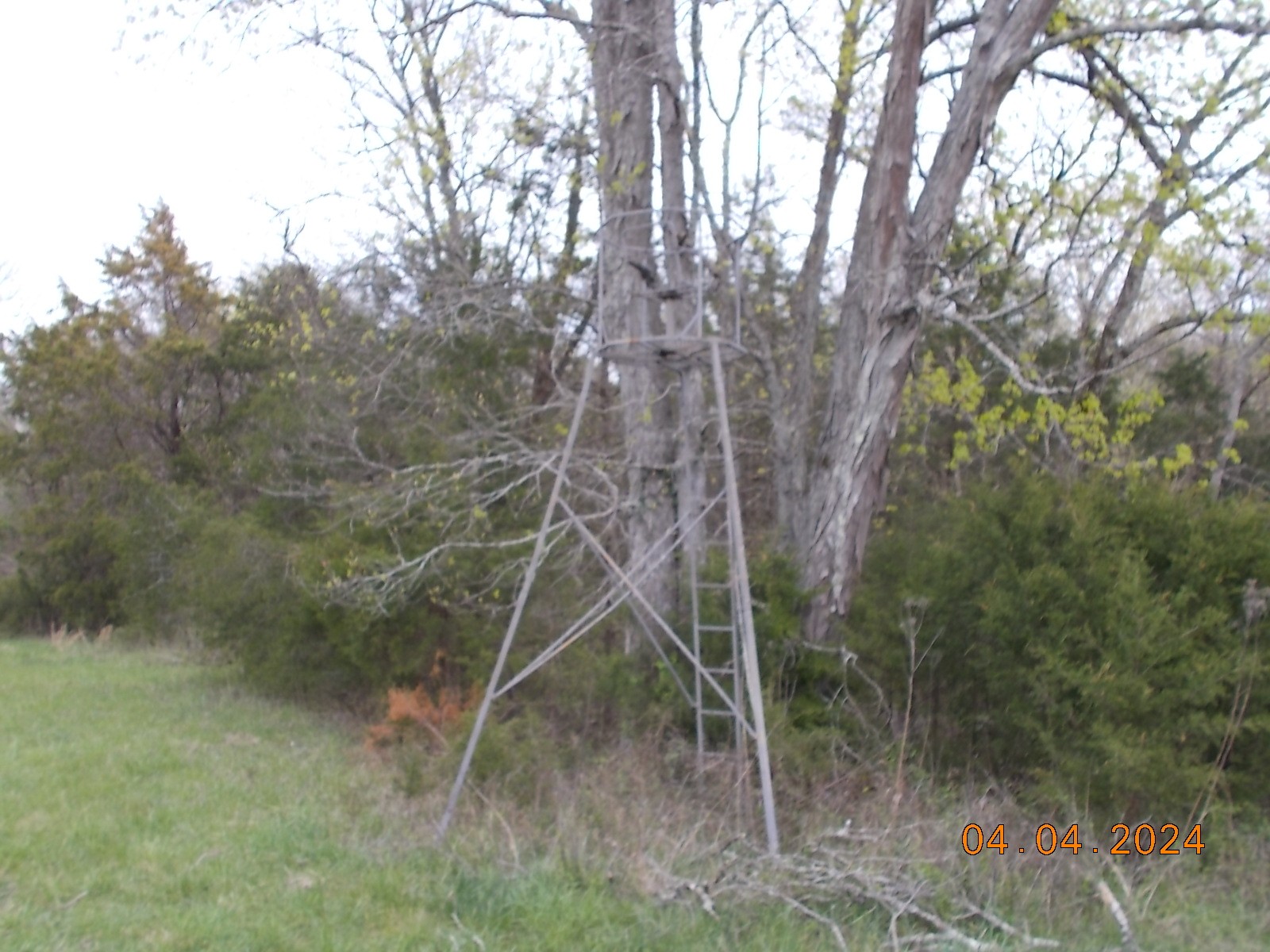 887 Borum Road Watertown, TN 37184 - Photo 30 of 61 Gallery Image 30