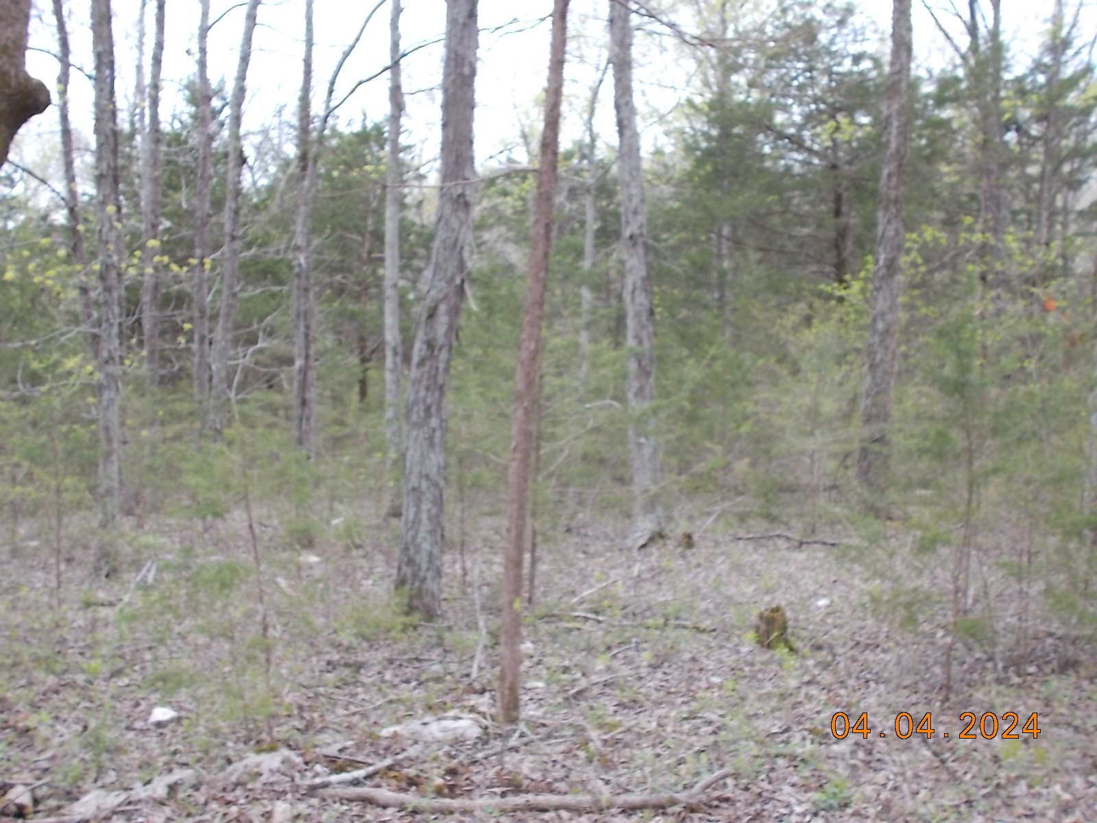 887 Borum Road Watertown, TN 37184 - Photo 31 of 61 Gallery Image 31