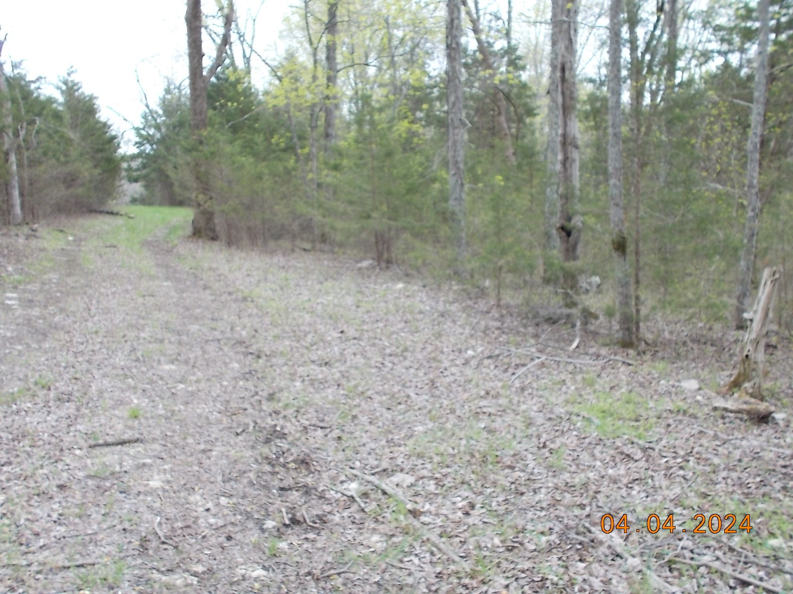 887 Borum Road Watertown, TN 37184 - Photo 32 of 61 Gallery Image 32