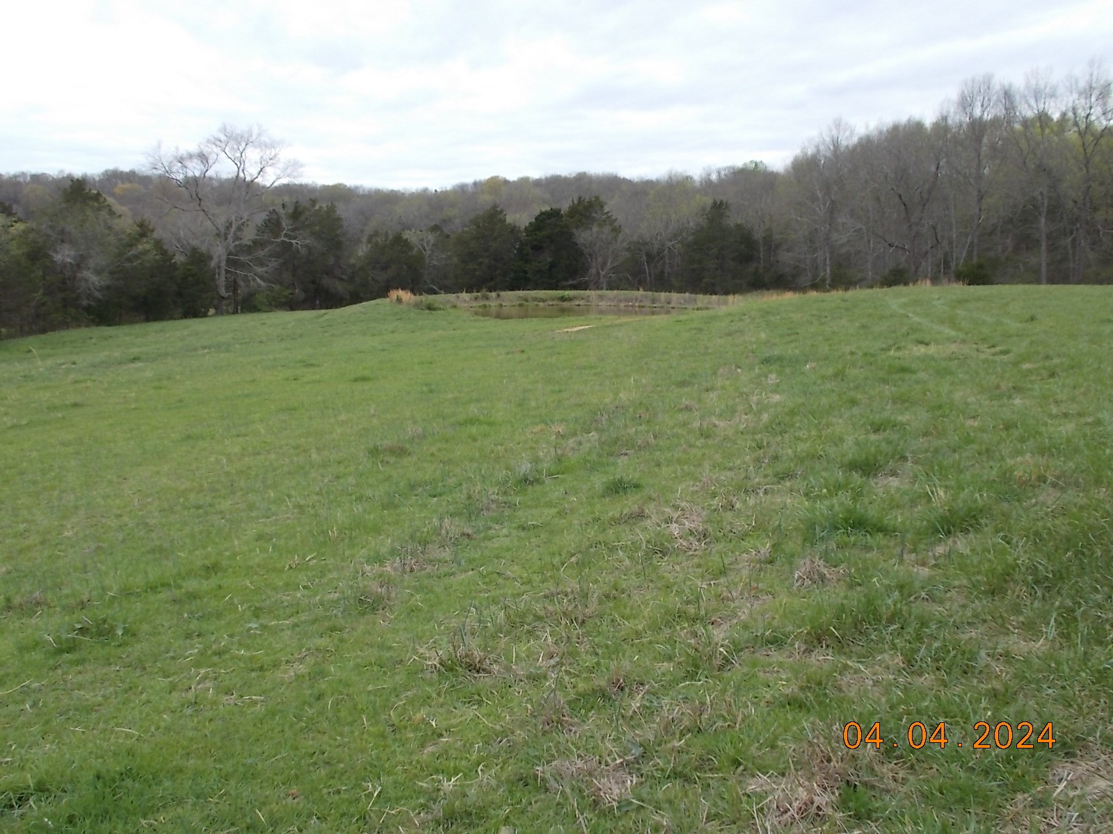 887 Borum Road Watertown, TN 37184 - Photo 36 of 61 Gallery Image 36