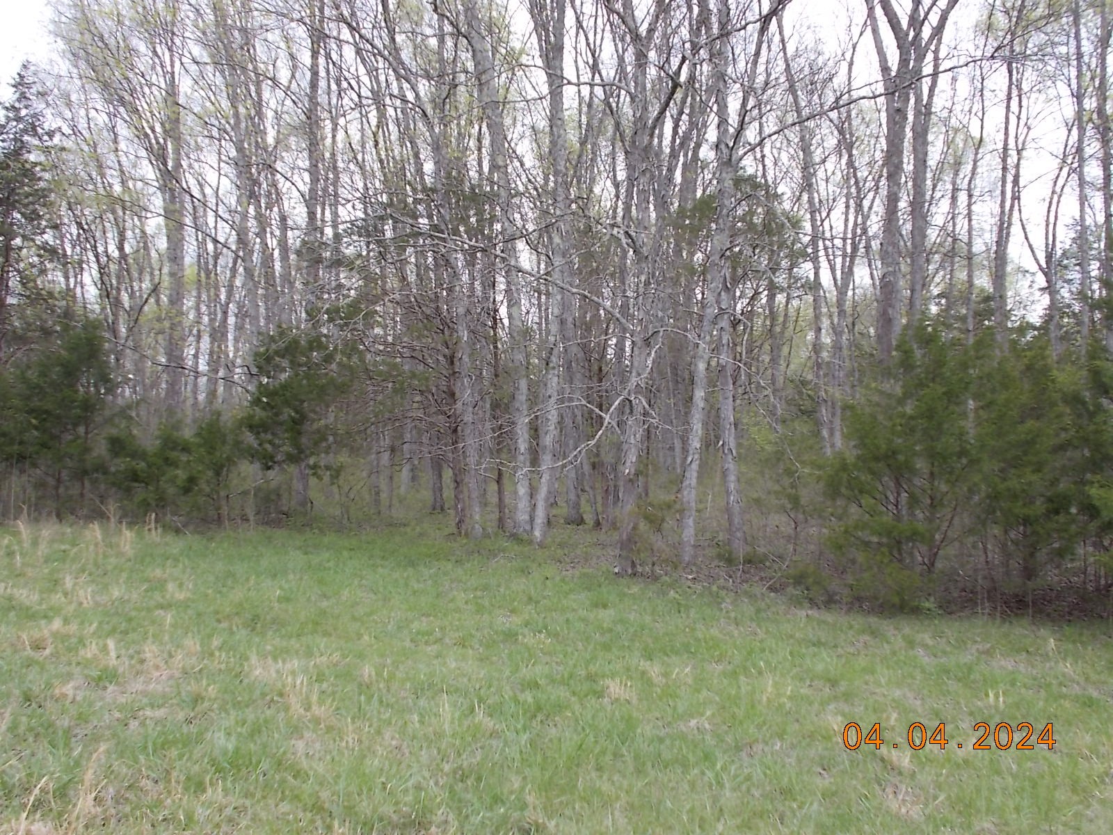 887 Borum Road Watertown, TN 37184 - Photo 37 of 61 Gallery Image 37