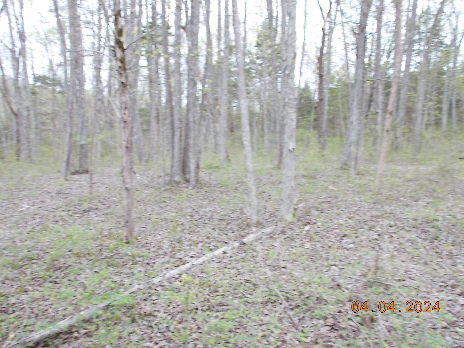 887 Borum Road Watertown, TN 37184 - Photo 38 of 61 Gallery Image 38