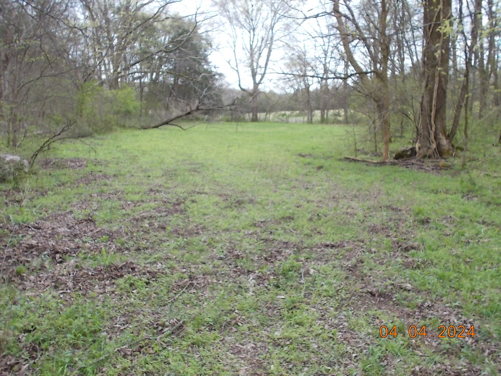 887 Borum Road Watertown, TN 37184 - Photo 40 of 61 Gallery Image 40