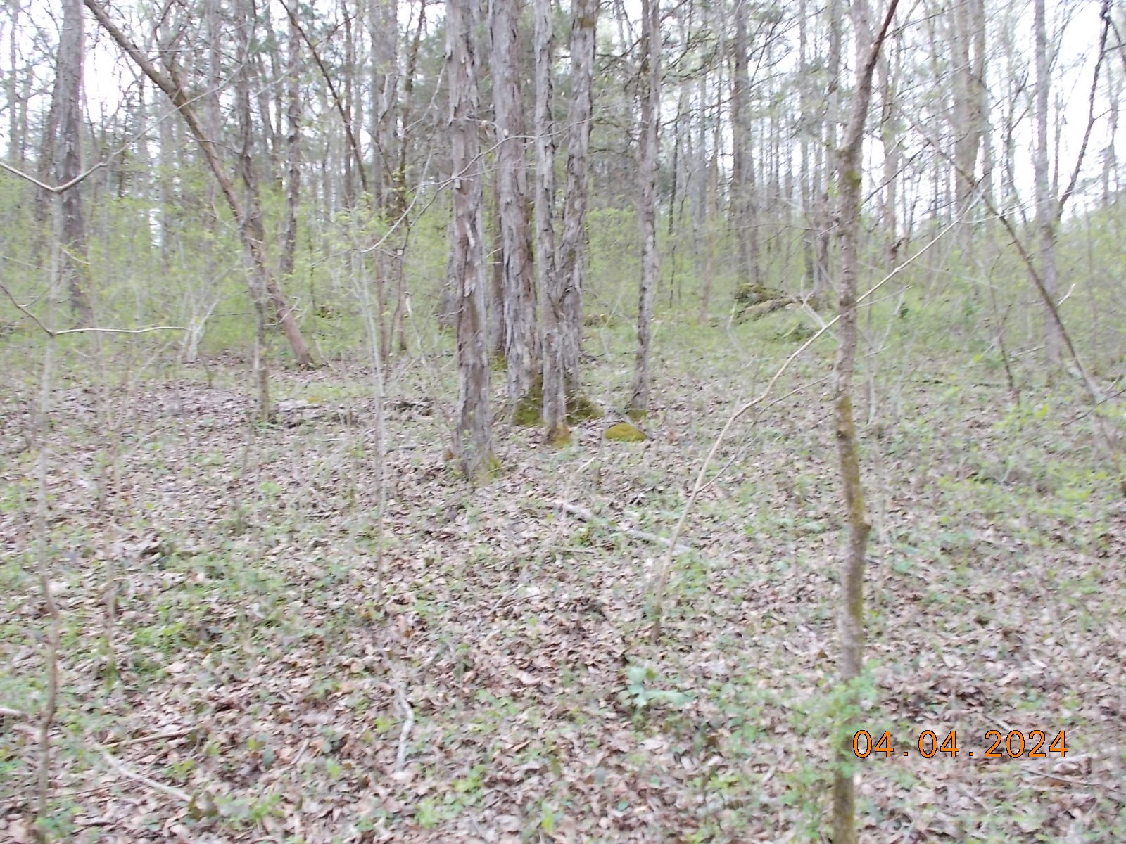 887 Borum Road Watertown, TN 37184 - Photo 43 of 61 Gallery Image 43