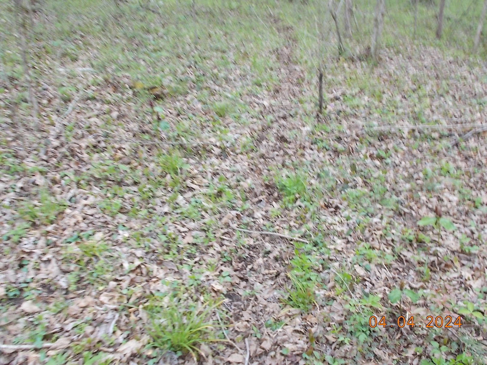 887 Borum Road Watertown, TN 37184 - Photo 44 of 61 Gallery Image 44