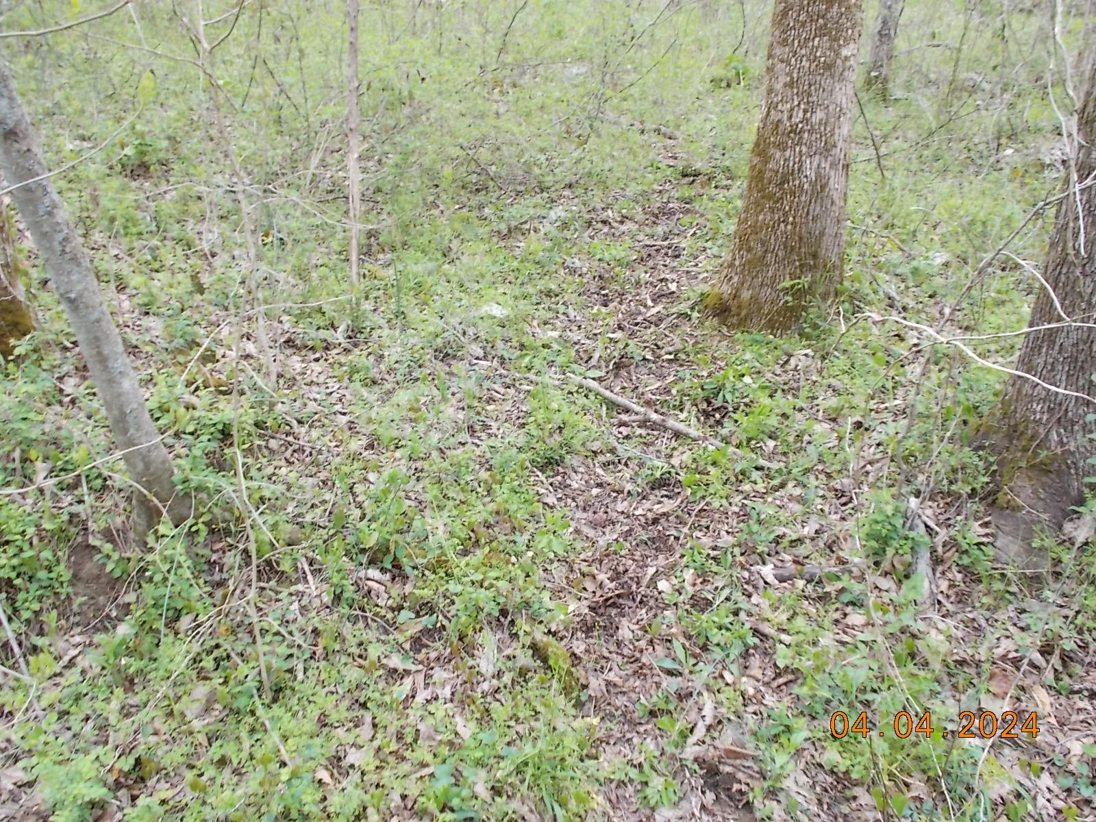 887 Borum Road Watertown, TN 37184 - Photo 45 of 61 Gallery Image 45