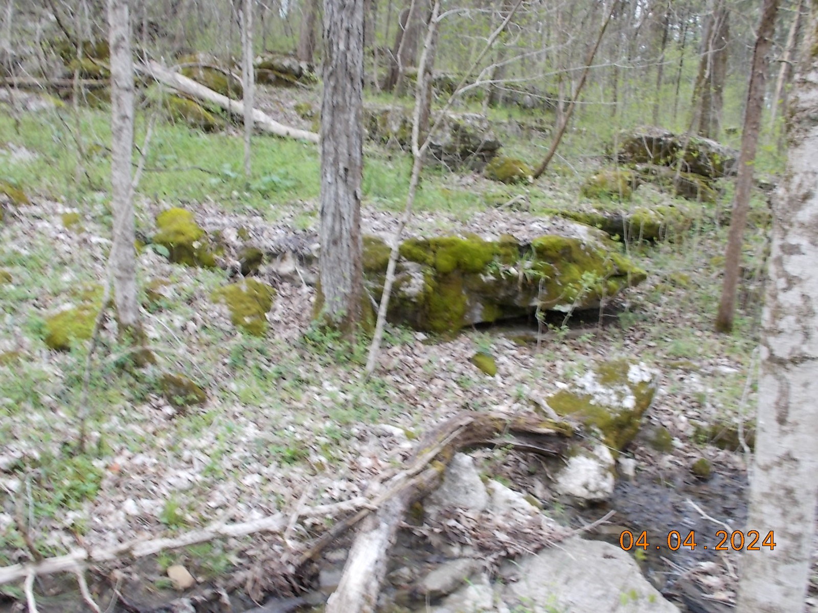 887 Borum Road Watertown, TN 37184 - Photo 46 of 61 Gallery Image 46