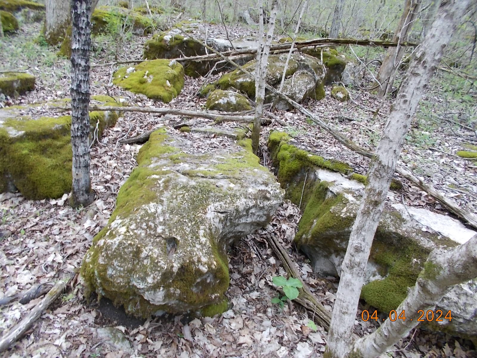 887 Borum Road Watertown, TN 37184 - Photo 47 of 61 Gallery Image 47