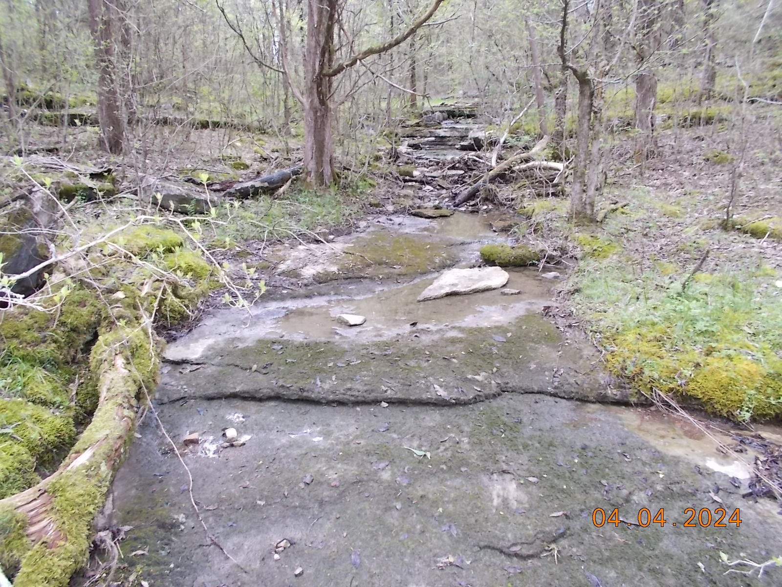 887 Borum Road Watertown, TN 37184 - Photo 50 of 61 Gallery Image 50