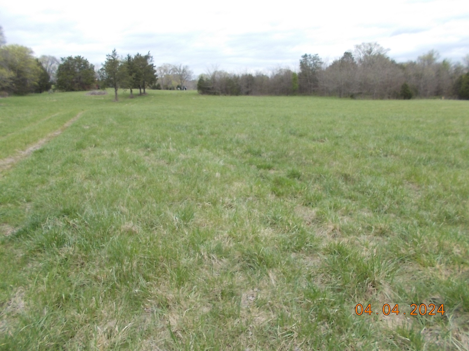 887 Borum Road Watertown, TN 37184 - Photo 5 of 61 Gallery Image 5