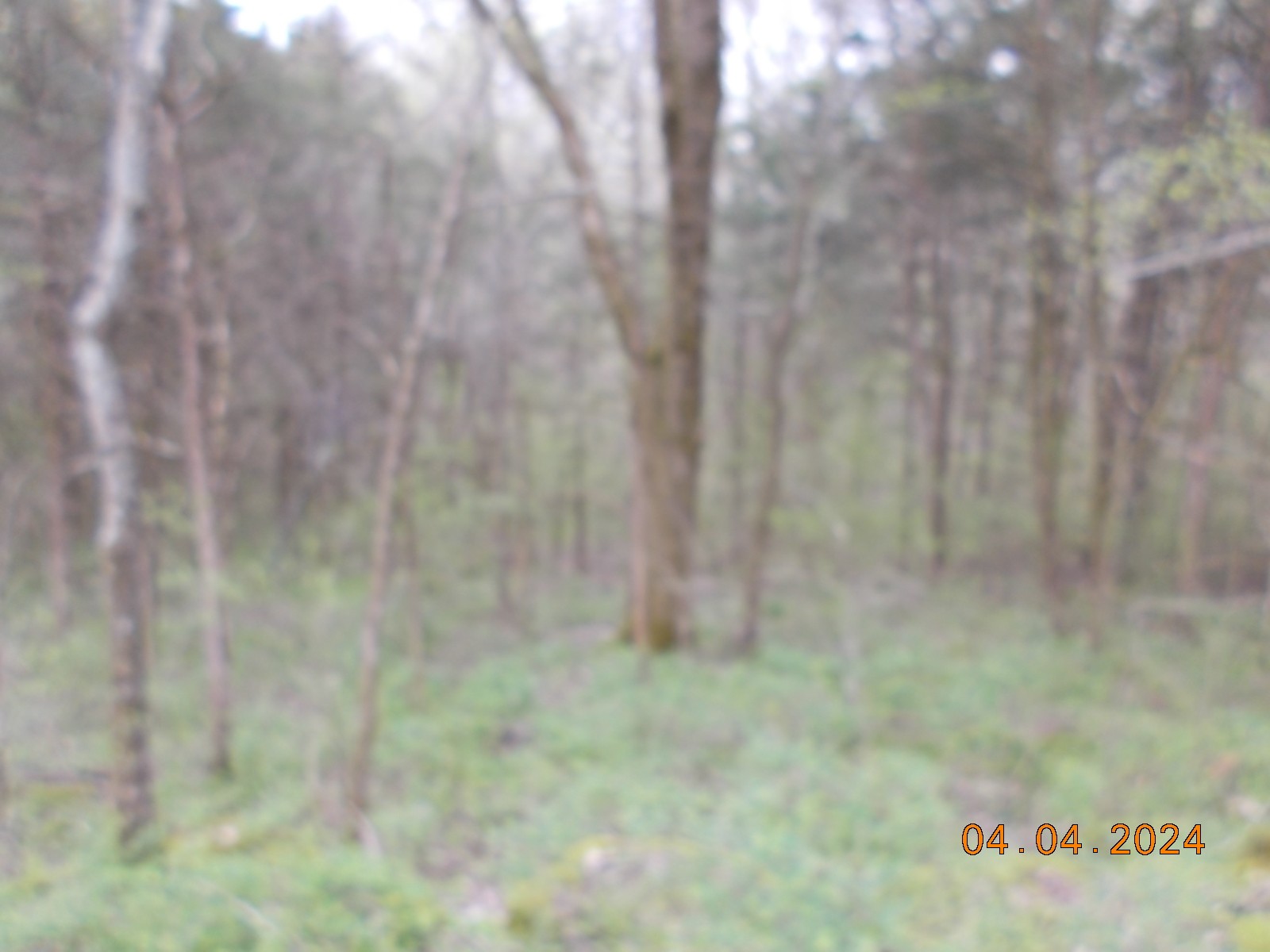 887 Borum Road Watertown, TN 37184 - Photo 51 of 61 Gallery Image 51
