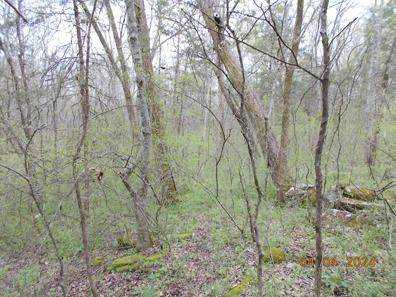 887 Borum Road Watertown, TN 37184 - Photo 52 of 61 Gallery Image 52