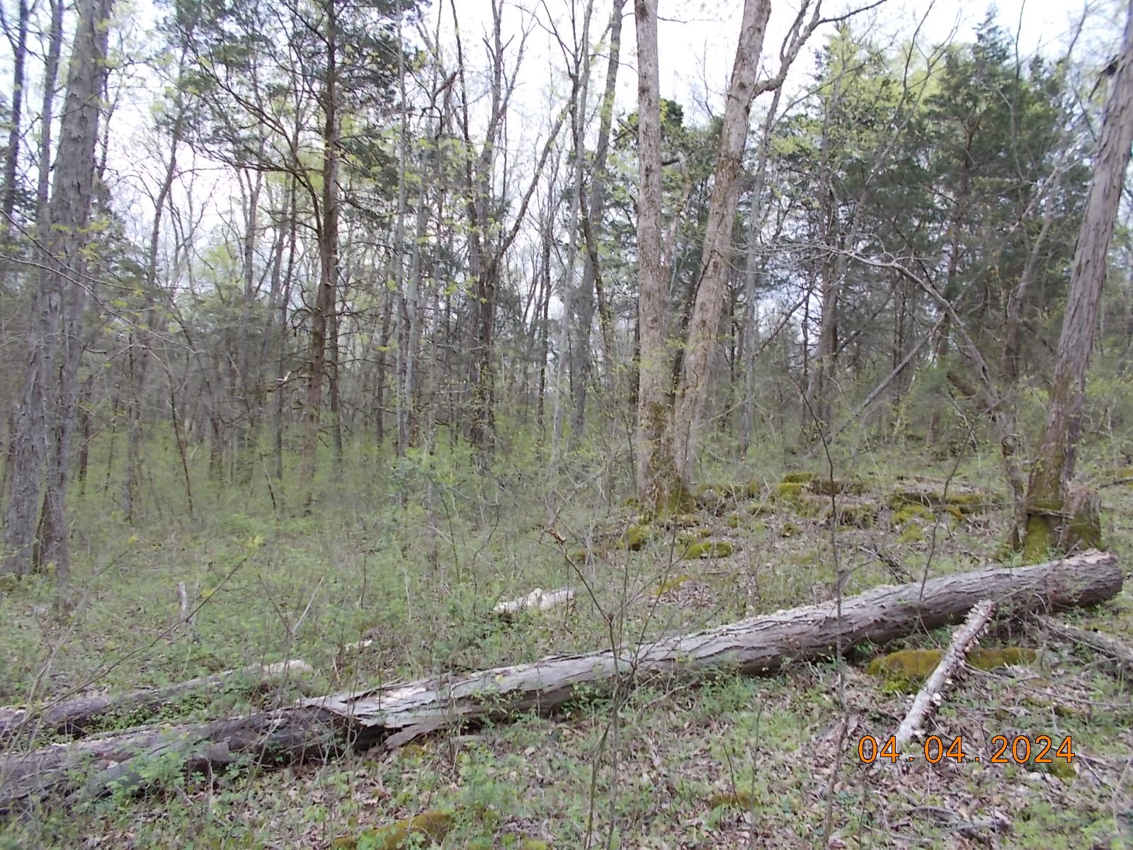 887 Borum Road Watertown, TN 37184 - Photo 53 of 61 Gallery Image 53