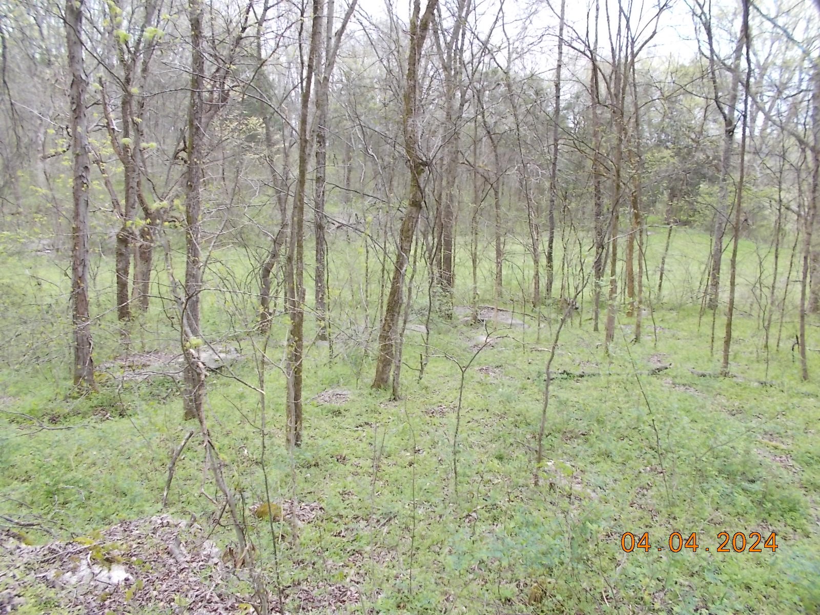 887 Borum Road Watertown, TN 37184 - Photo 54 of 61 Gallery Image 54