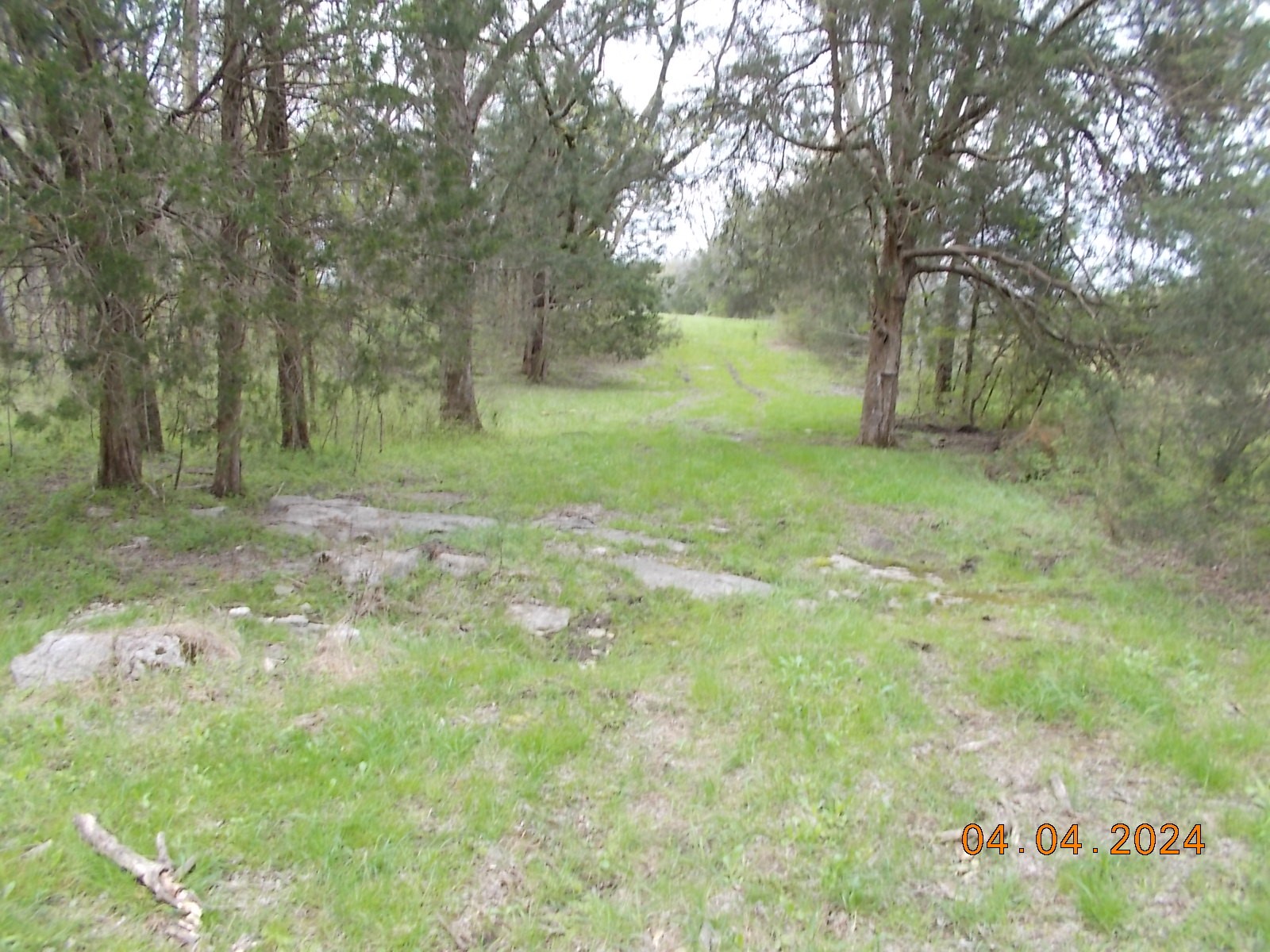887 Borum Road Watertown, TN 37184 - Photo 56 of 61 Gallery Image 56