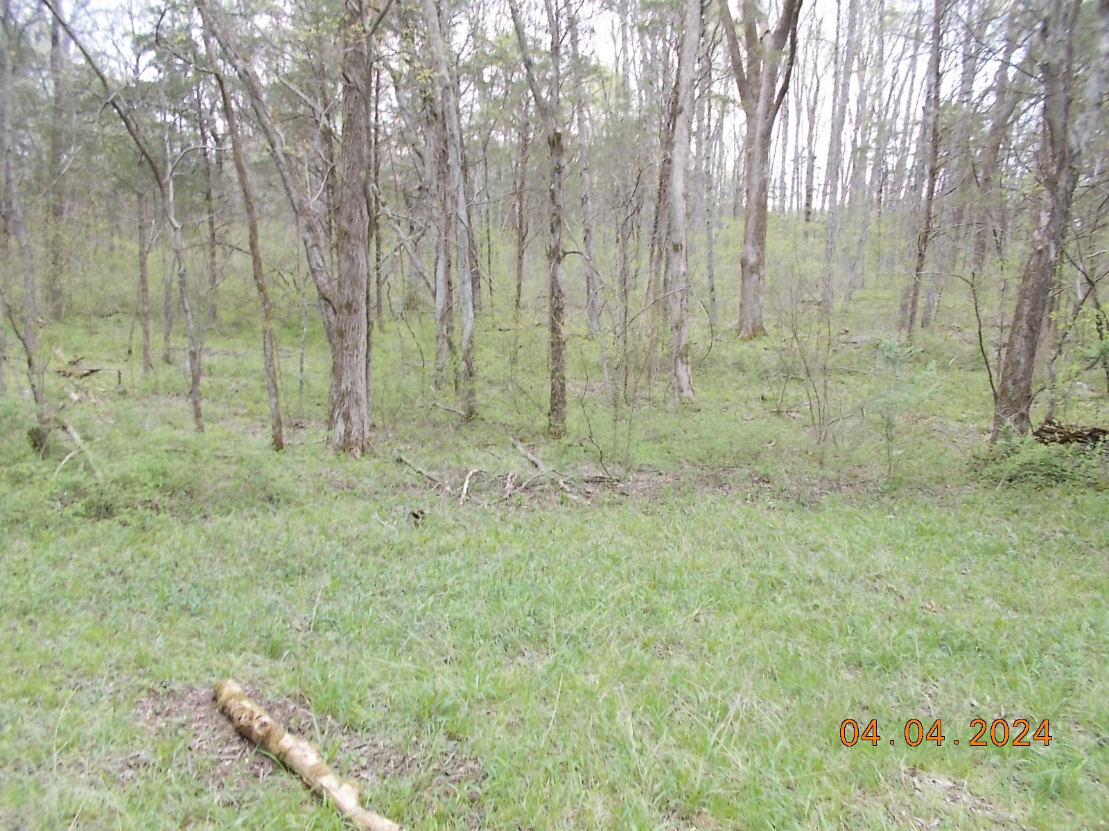 887 Borum Road Watertown, TN 37184 - Photo 58 of 61 Gallery Image 58