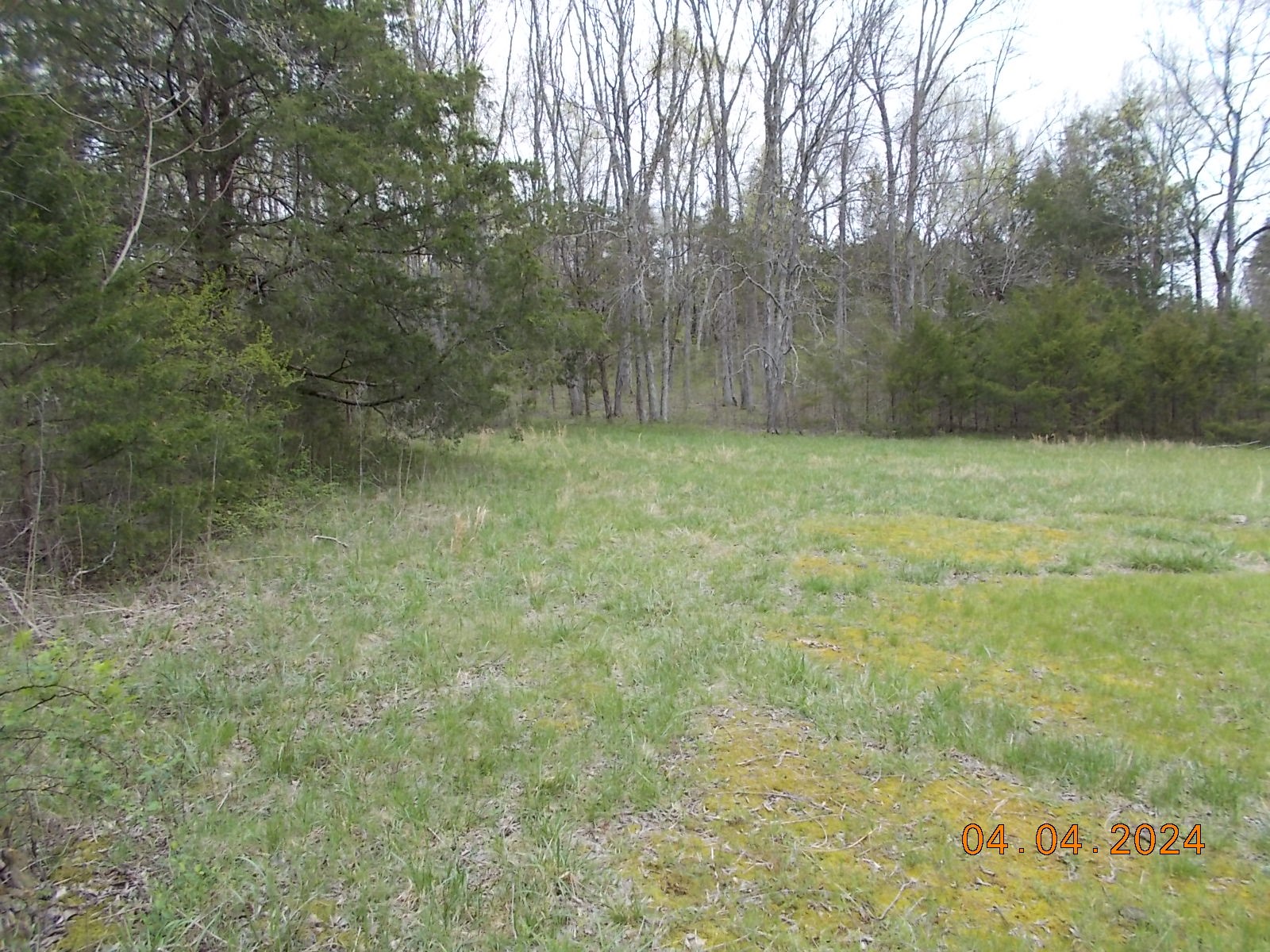 887 Borum Road Watertown, TN 37184 - Photo 59 of 61 Gallery Image 59