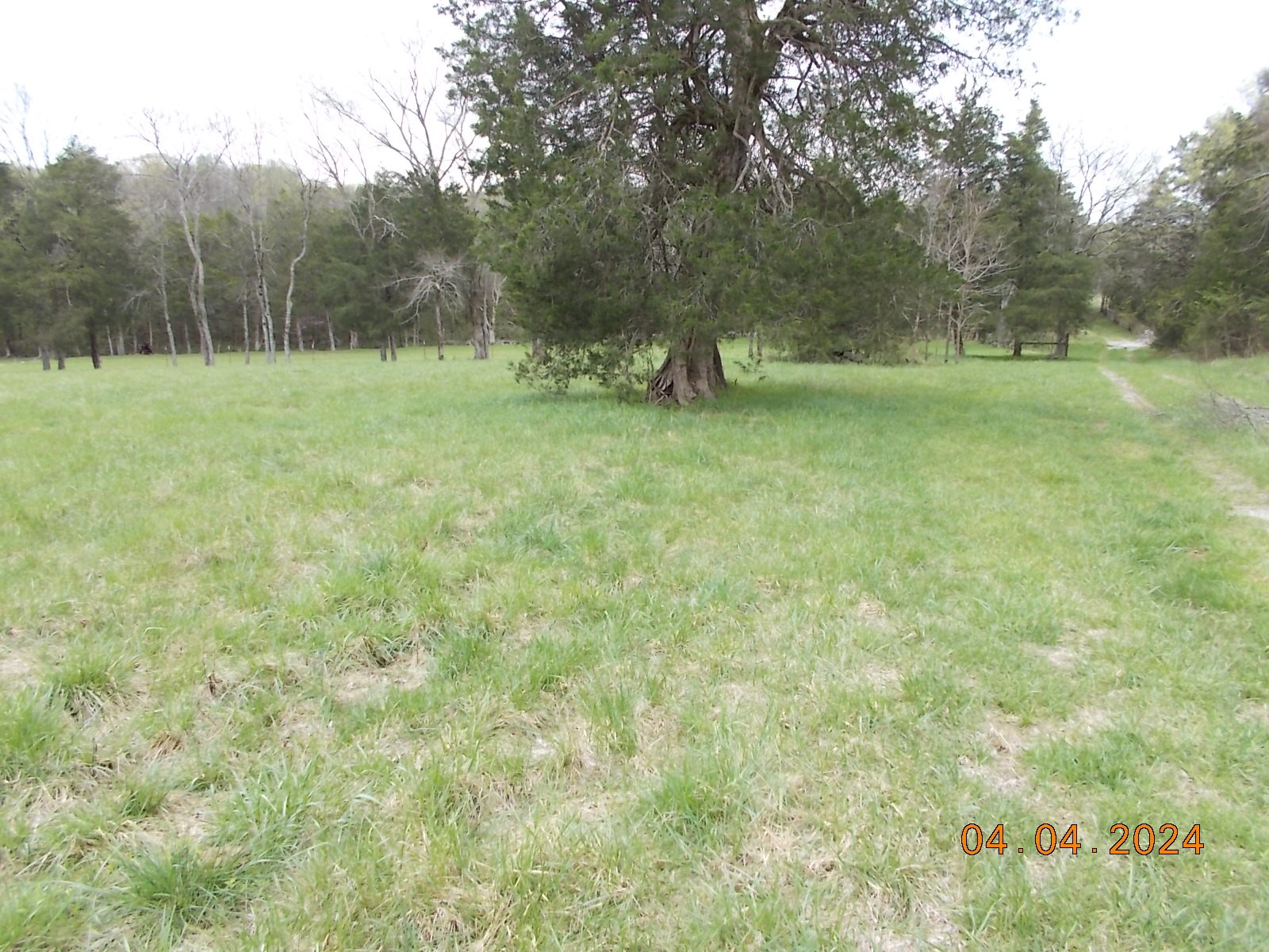 887 Borum Road Watertown, TN 37184 - Photo 6 of 61 Gallery Image 6