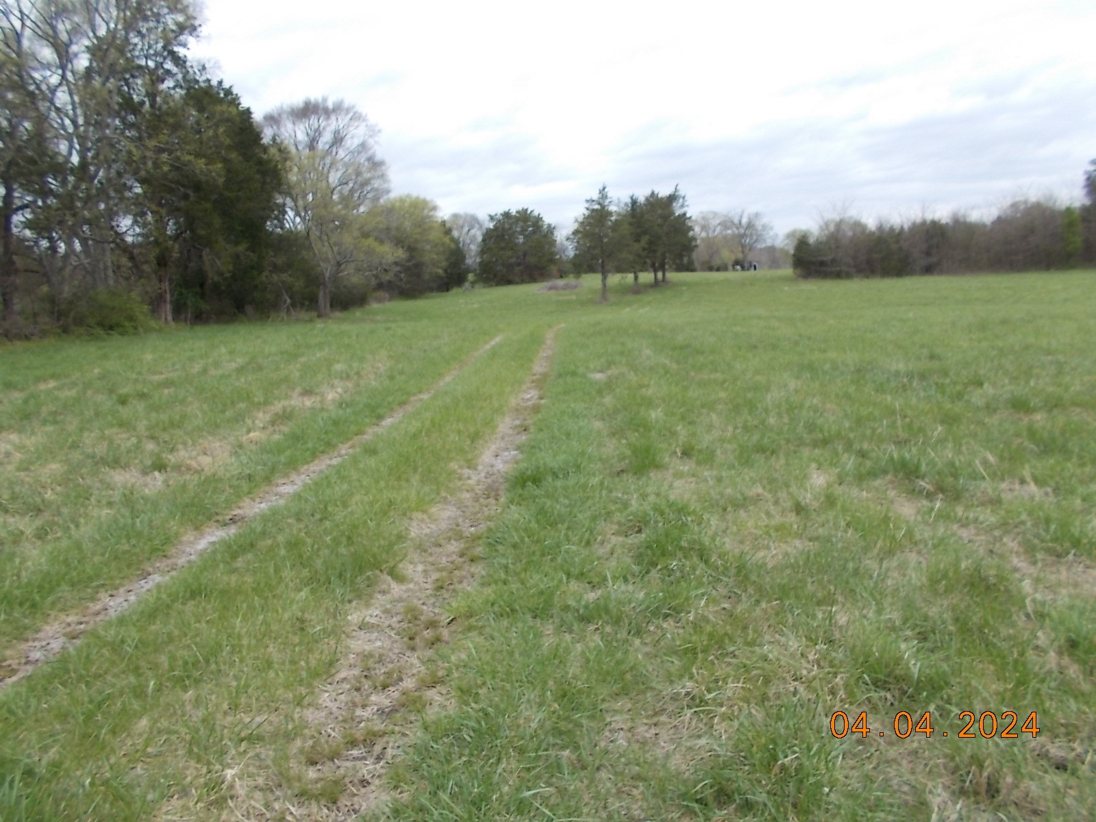 887 Borum Road Watertown, TN 37184 - Photo 7 of 61 Gallery Image 7