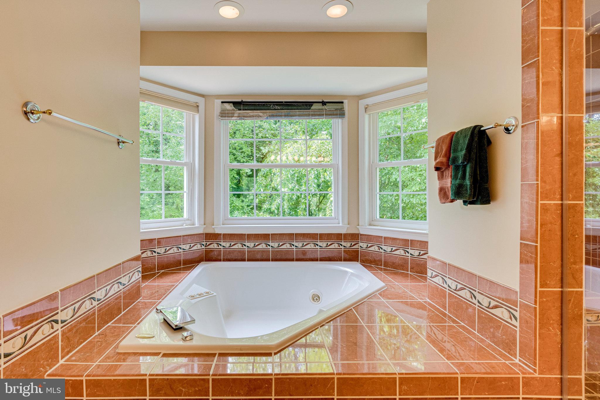 2860 Hill Road Vienna, VA 22181 - Photo 28 of 51 Gallery Image 28