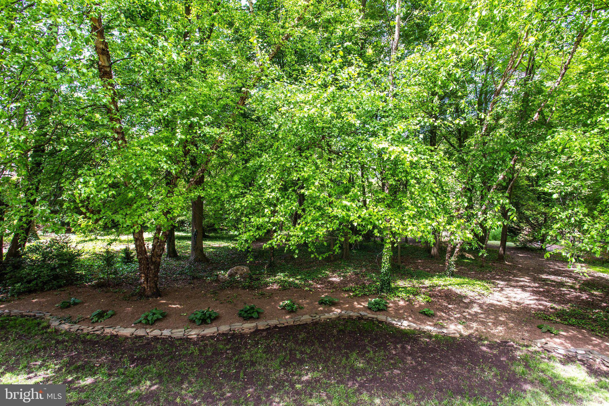 2860 Hill Road Vienna, VA 22181 - Photo 50 of 51 Gallery Image 50