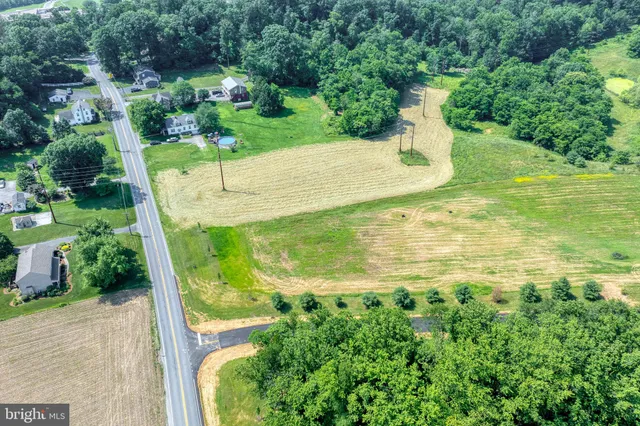 a view of a garden with a fountain