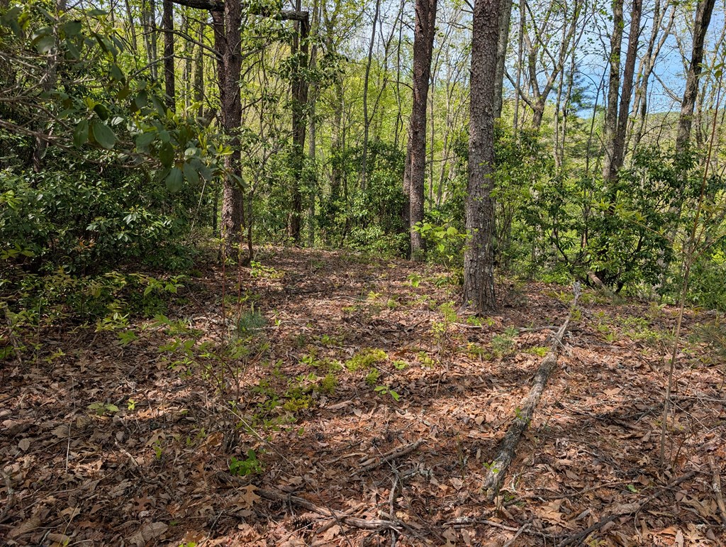 348 Atali Circle Murphy, NC 28906 - Photo 4 of 32