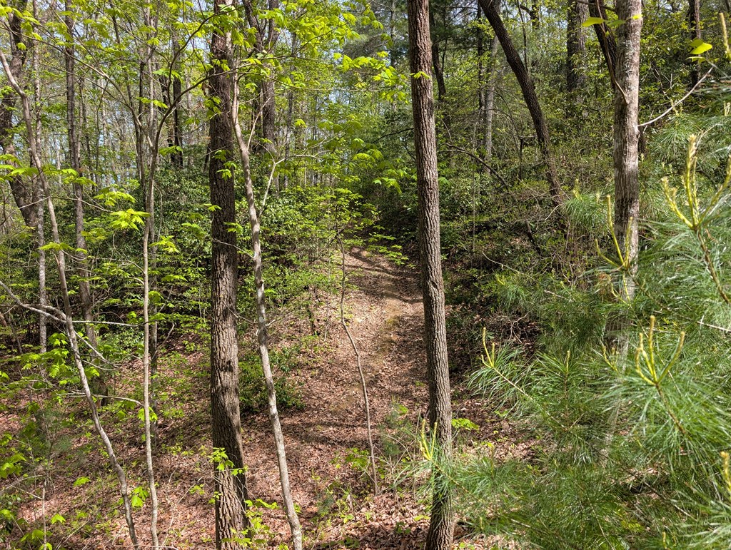 348 Atali Circle Murphy, NC 28906 - Photo 8 of 32