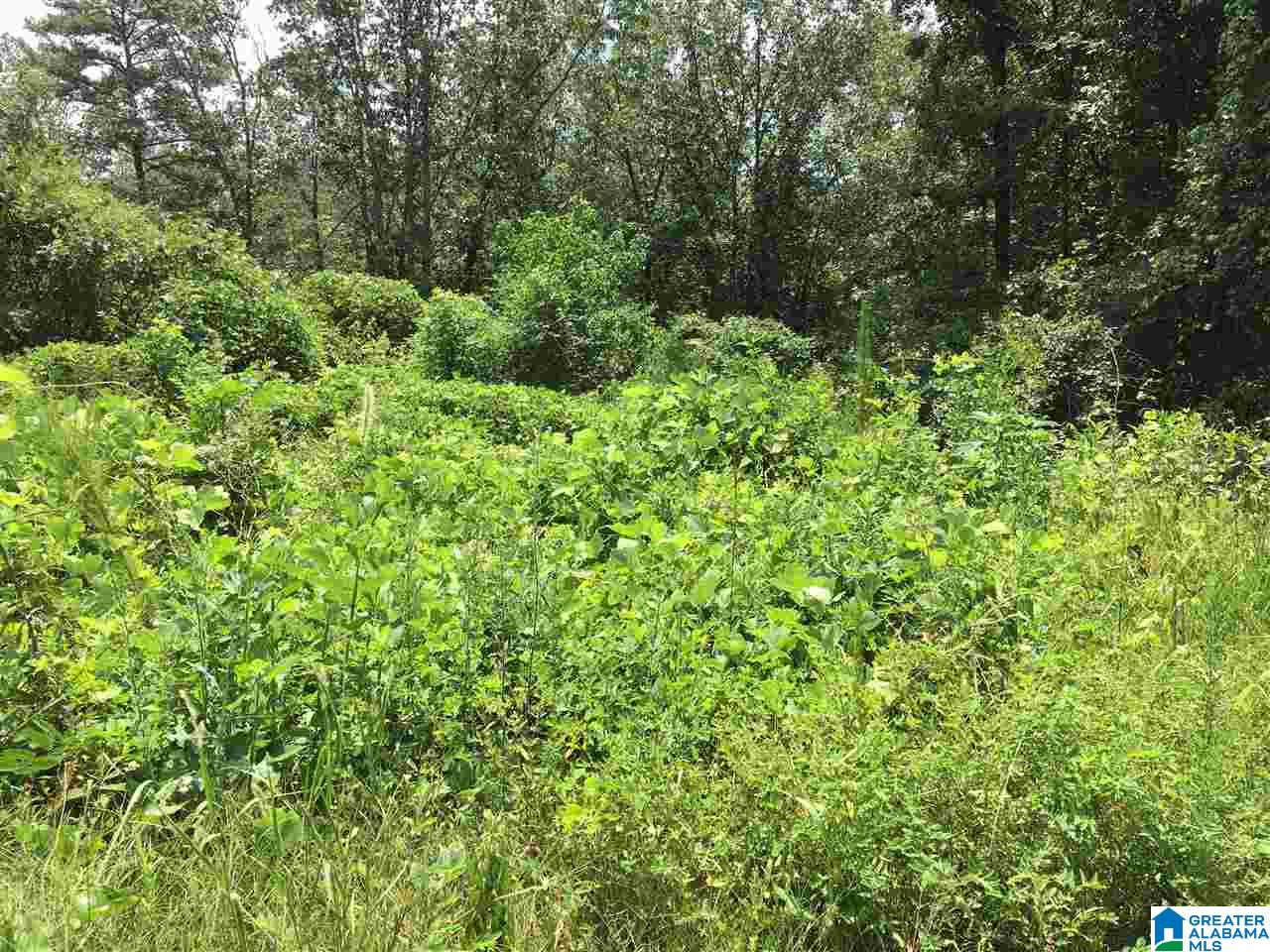 Lot 8 Overlook Road, Unit LOT 8 Blountsville, AL 35031 - Photo 1 of 1