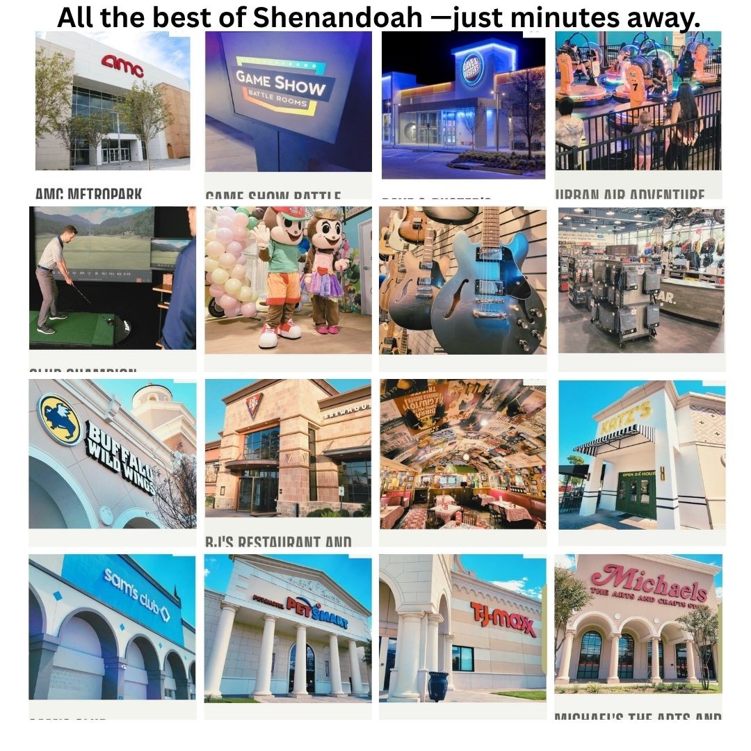 17814 Tree Of Heaven Conroe, TX 77385 - Photo 48 of 48 The best of Shenandoah just minutes away