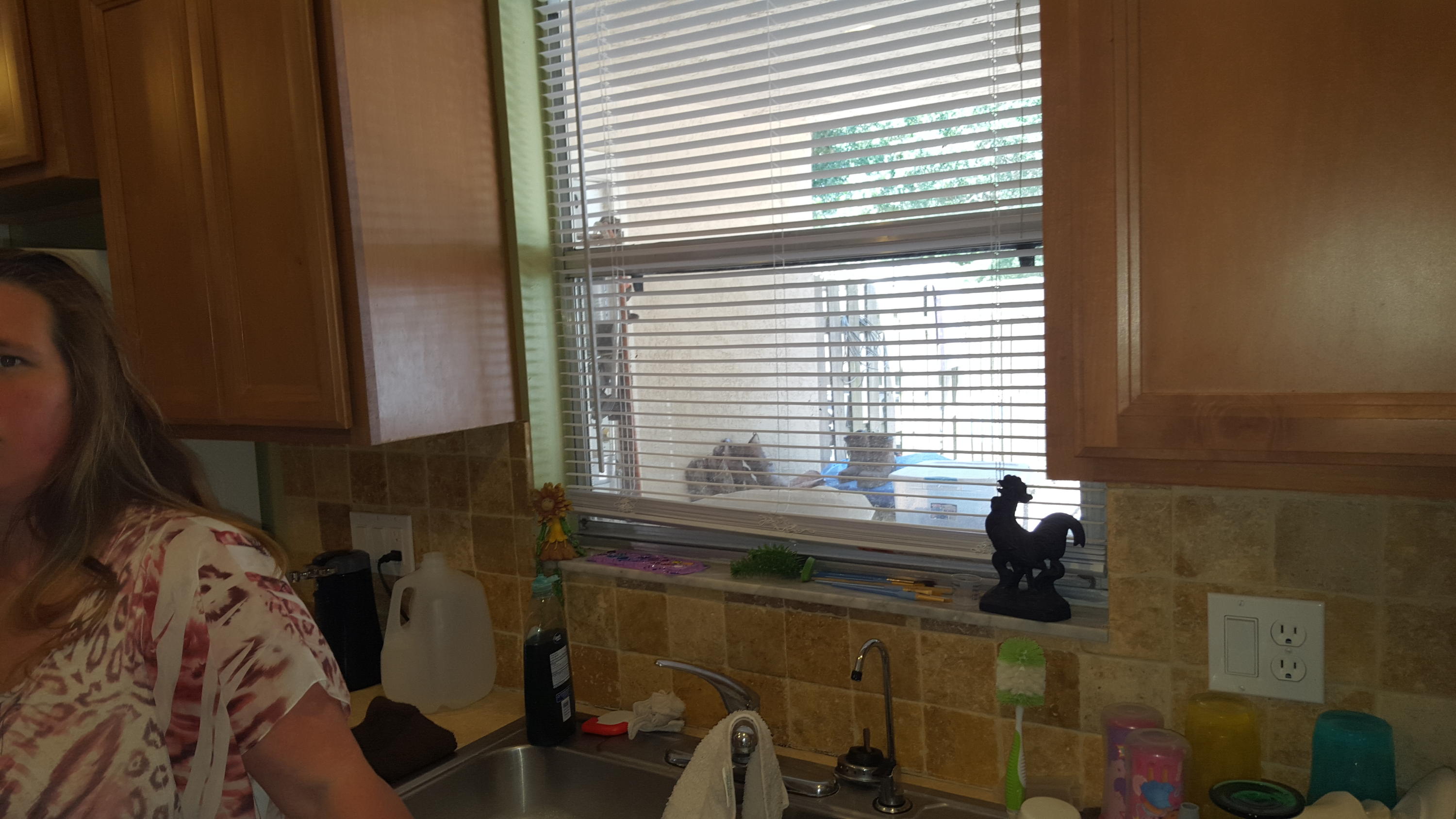 6459 Bischoff Road West Palm Beach, FL 33413 - Photo 7 of 12 a bathroom with a sink and a window