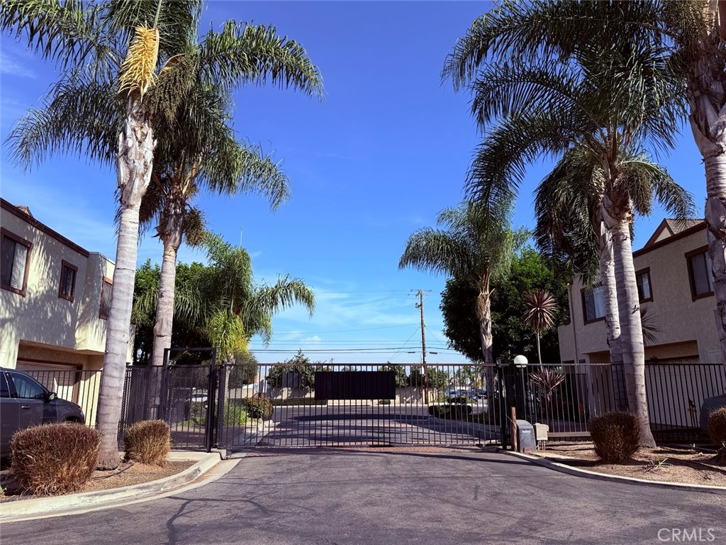4969 Embassy Way, Unit 6 Cypress, CA 90630 - Photo 18 of 19 a view of a palm tree with palm trees