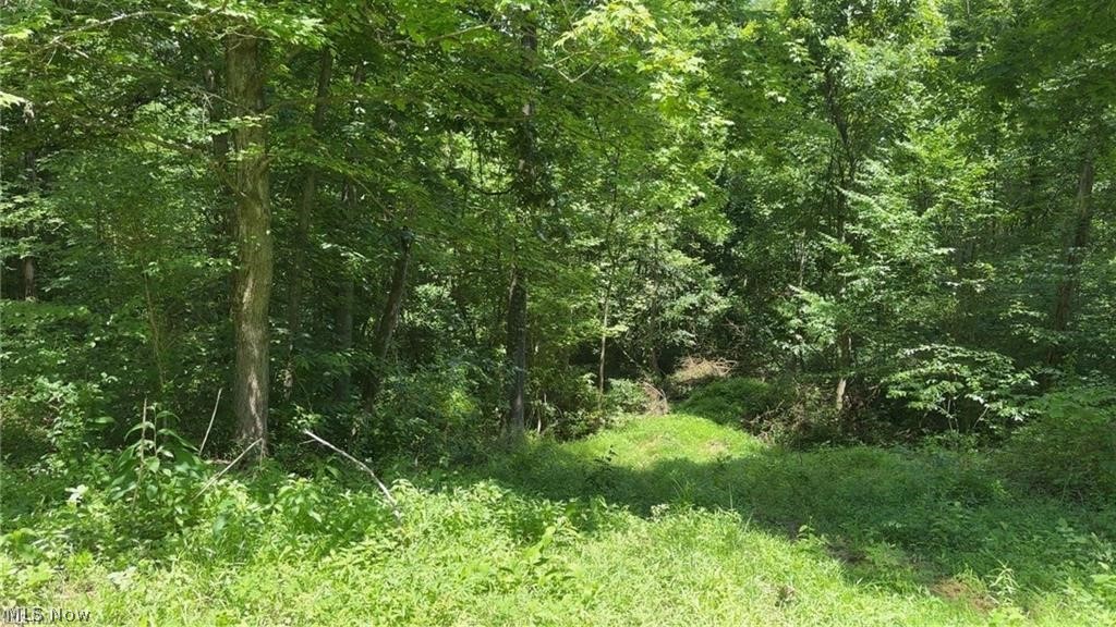 Lookout Road Stockport, OH 43787 - Photo 17 of 27