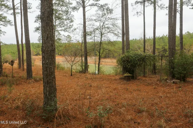 $658,300 | D A Dyess Road, Carson, MS 39427